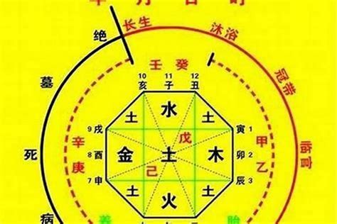 八字十神查詢|生辰八字算命、五行喜用神查询（免费测算）